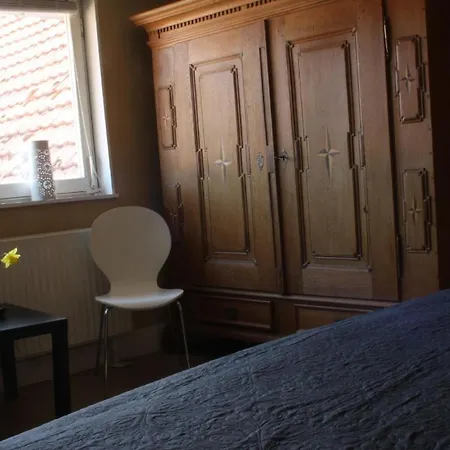 Fewo In Ober-werbe Mit Garten, Ziegen Und Bienen Apartment *
